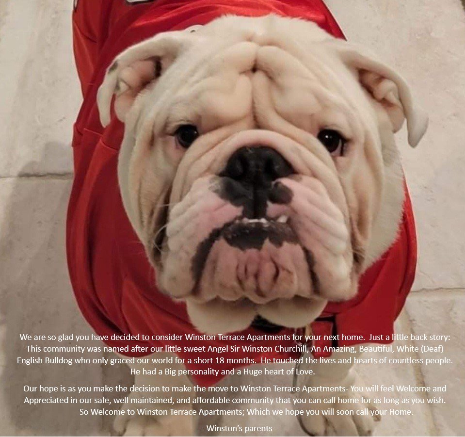 Winston Terrace Apartments LLC - 1824 E Southern Manor Dr W/G property image